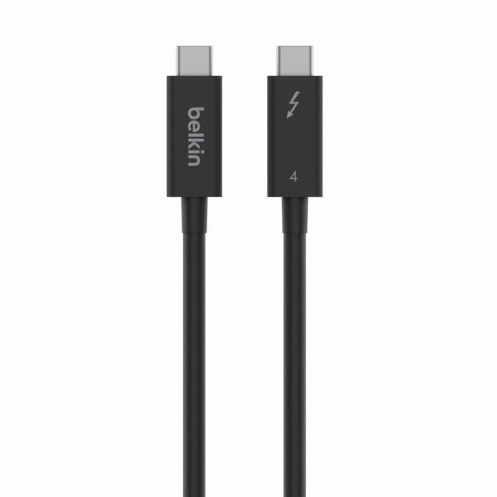 Belkin 2m - macho - macho - negro