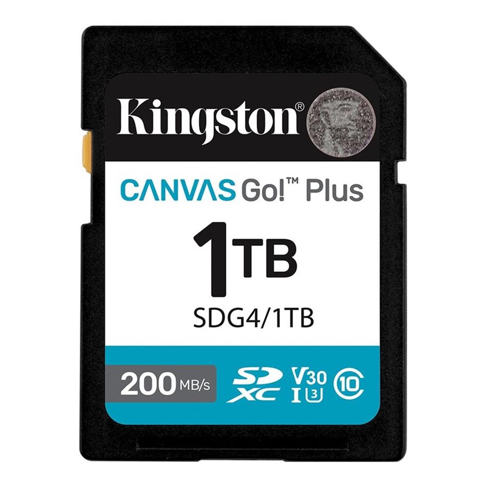 Kingston canvas go! plus uhs - i clase 10