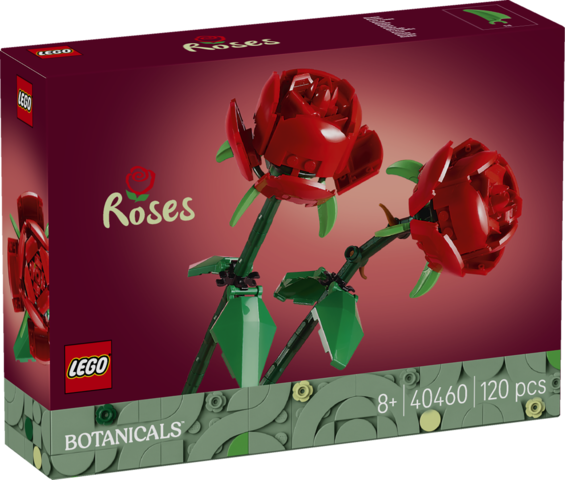 LINDY 40460 bloqueador de puerto USB tipo A Rosa Acrilonitrilo butadieno estireno (ABS) 10 pieza(s)