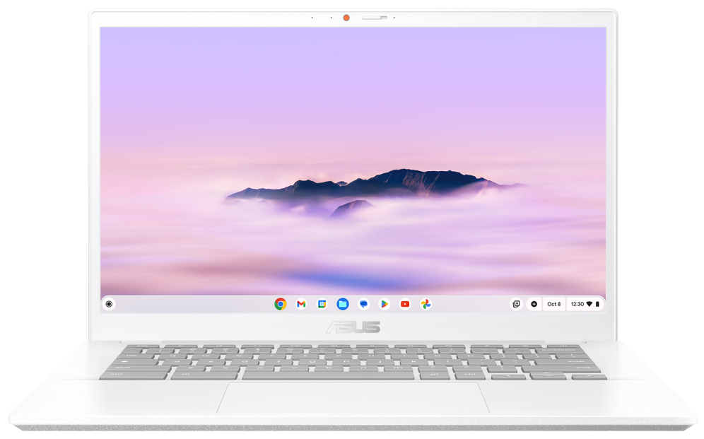 ChromeBook ASUS Plus CX34 CX3402CVA-PQ1339 Intel Core 3-100U 8 GB 256 GB 14 Chrome OS