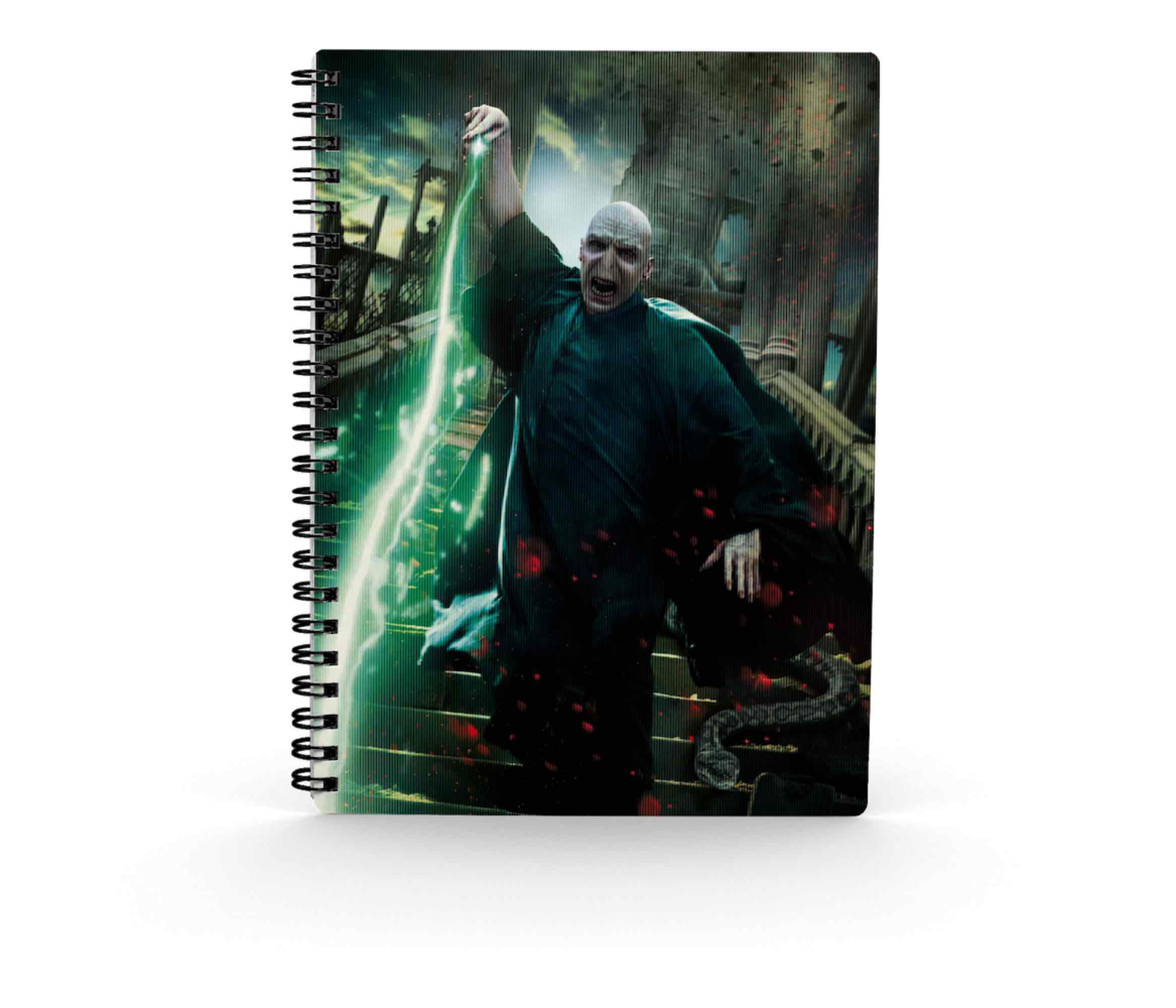 Sd toys harry potter poster voldemort