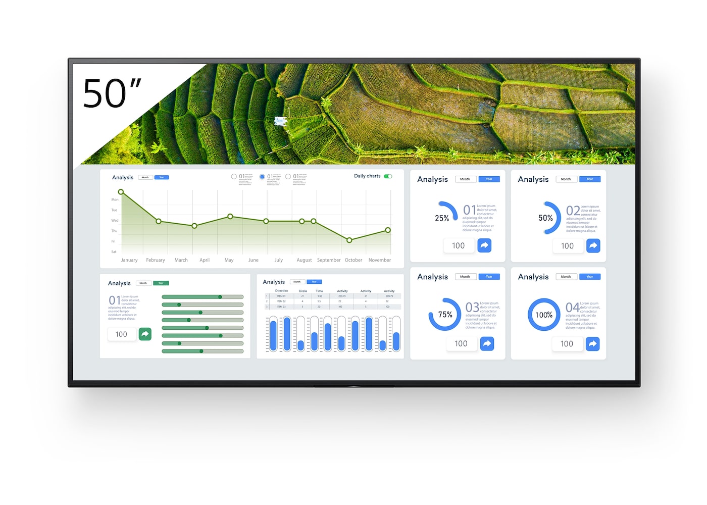 Sony BRAVIA FW-50BZ30L Monitor profesional 4K